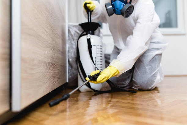 Best Mosquito Control Services  in Franklin Park, NJ