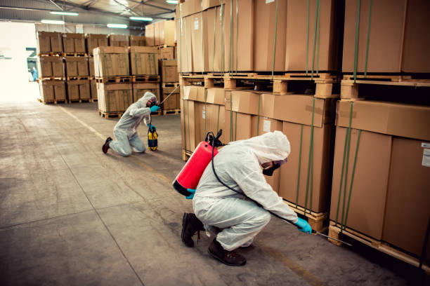 Best Exterminator Services  in Franklin Park, NJ
