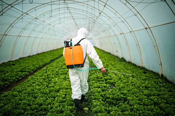 Best Local Pest Control Services  in Franklin Park, NJ