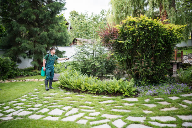 Best Pest Inspection Near Me  in Franklin Park, NJ