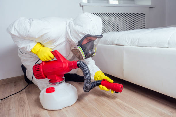 Best Cockroach Control Services  in Franklin Park, NJ