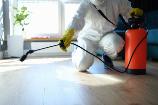 Best Flea Control Services  in Franklin Park, NJ