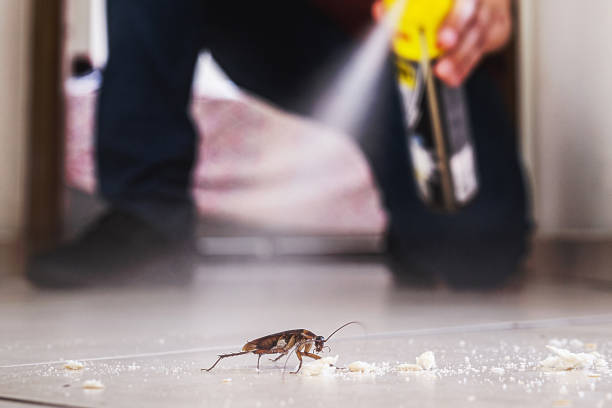 Best Emergency Pest Control  in Franklin Park, NJ
