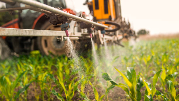 Best Mosquito Control Services  in Franklin Park, NJ